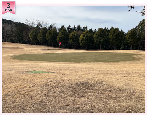 クイズ　この写真はどこのコースでしょう？