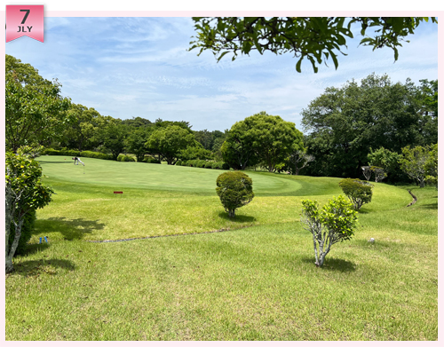 クイズ　この写真はどこのコースでしょう？