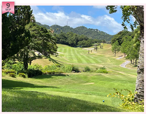 クイズ　この写真はどこのコースでしょう？