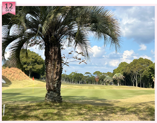 クイズ この写真はどこのコースでしょう?