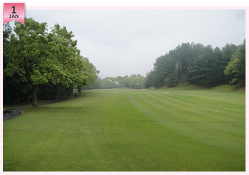 クイズ　この写真はどこのコースでしょう？