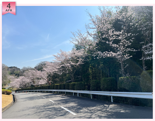 クイズ　この写真はどこのコースでしょう？